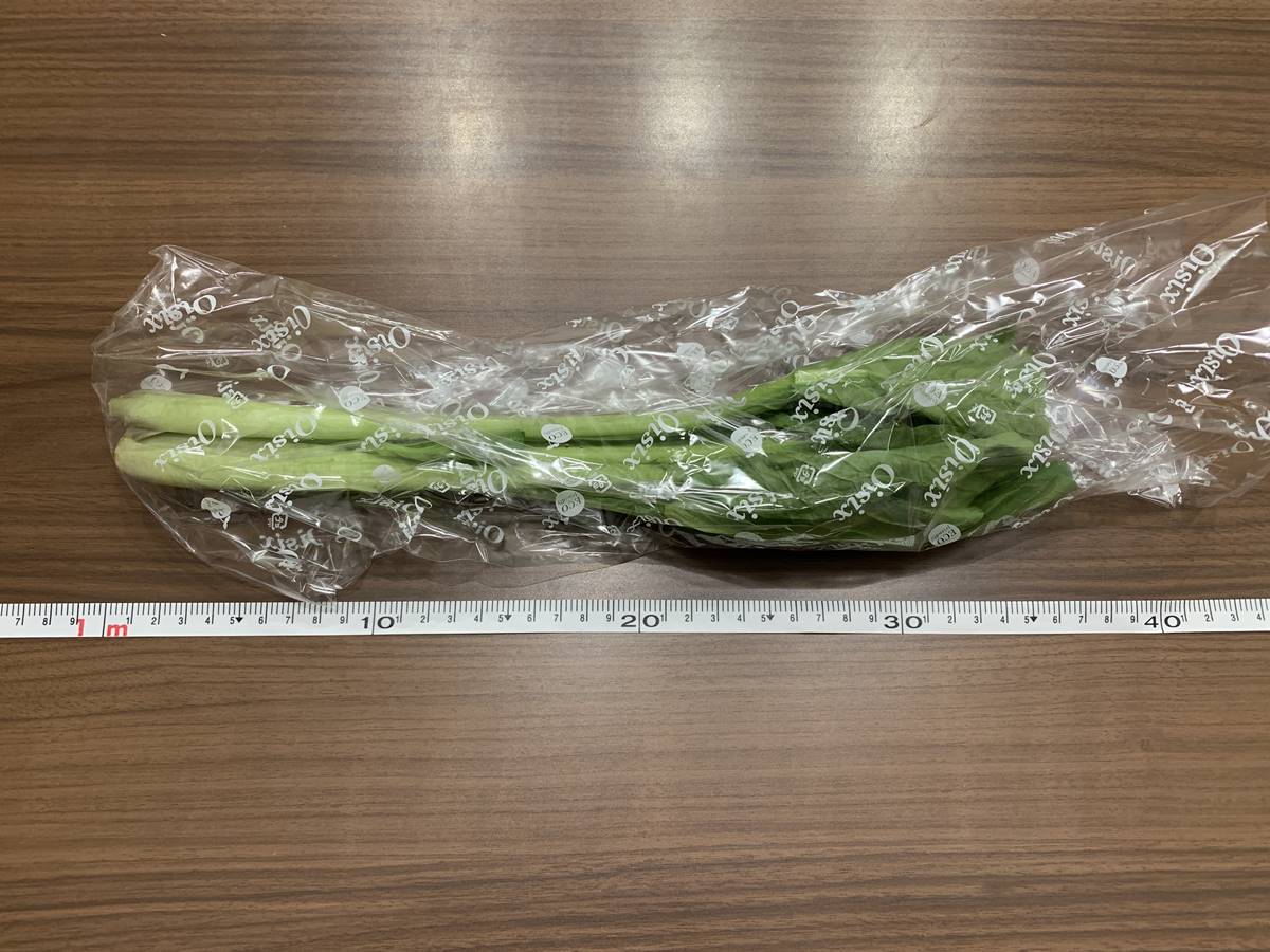 小松菜のサイズ