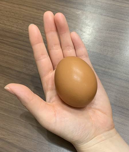 Lサイズの卵